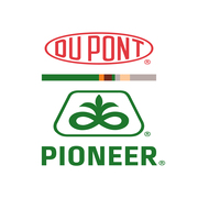 pioner